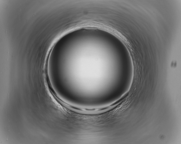 X0000096391536200801241249