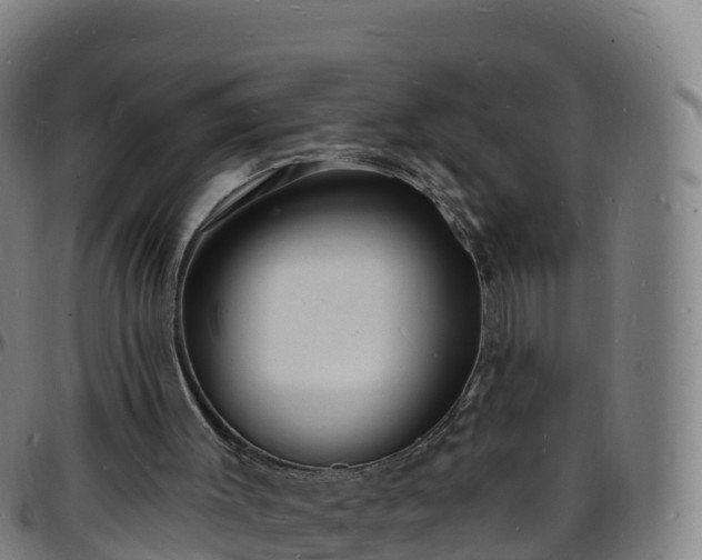 X0000096390003200801311331