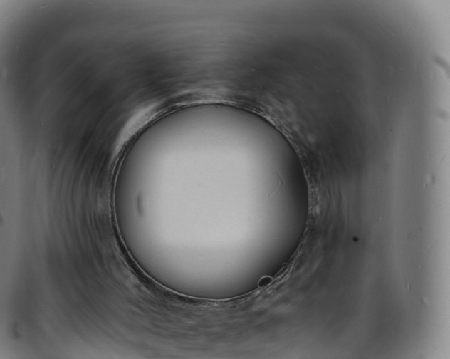 X0000096390004200801311331