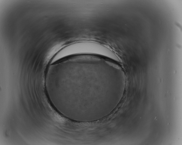 X0000096390005200801311331