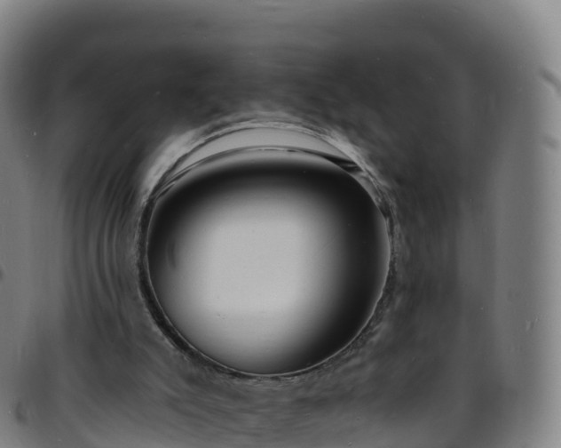 X0000096390007200801311331