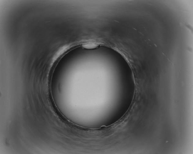 X0000096390008200801311331