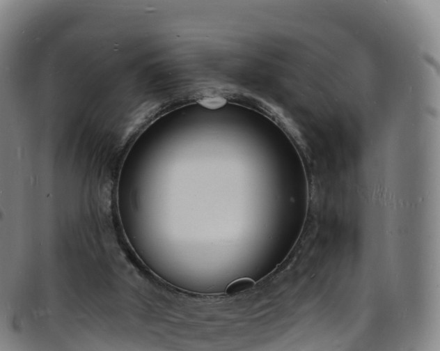 X0000096390010200801311331