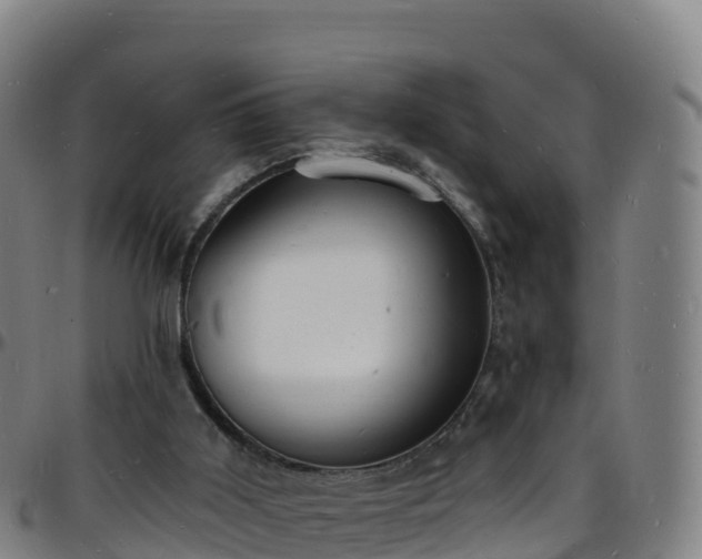 X0000096390011200801311331
