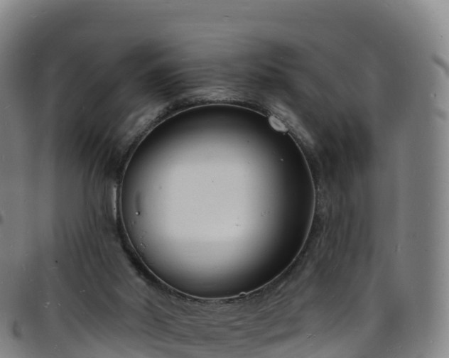 X0000096390014200801311331