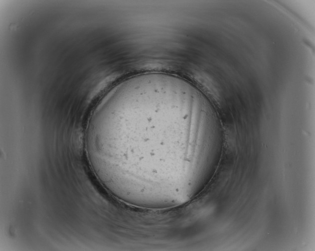 X0000096390016200801311331