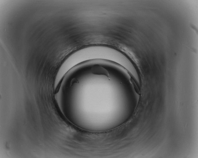 X0000096390017200801311331