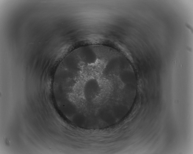 X0000096390018200801311330