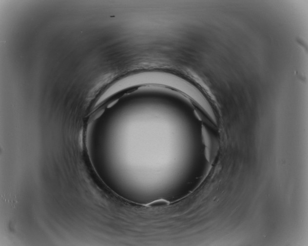 X0000096390019200801311330