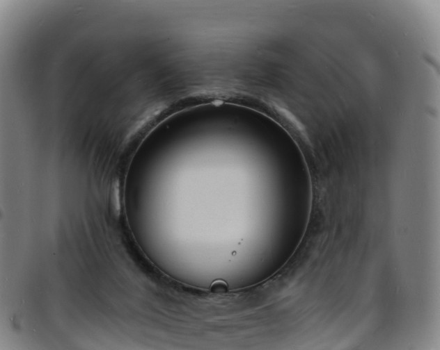 X0000096390020200801311330