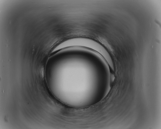 X0000096390021200801311330