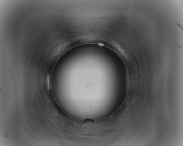 X0000096390022200801311330
