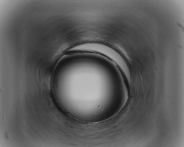 X0000096390023200801311330