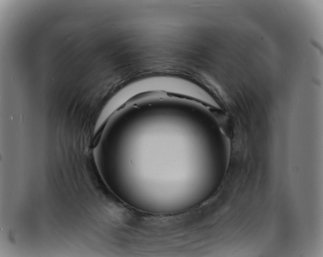 X0000096390025200801311330