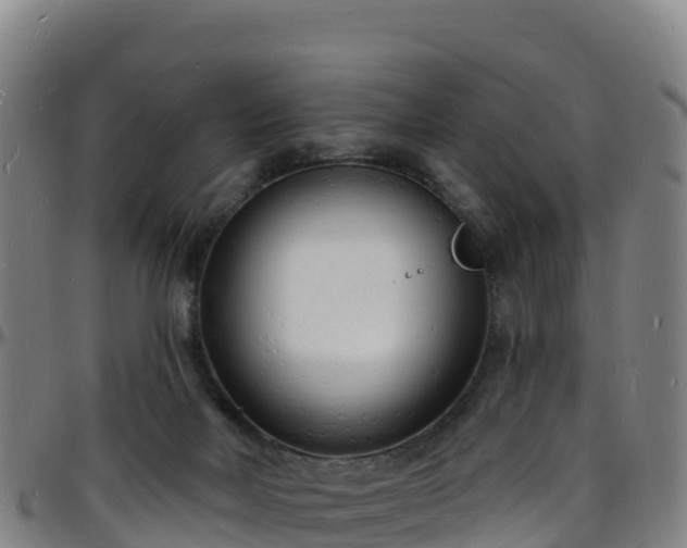 X0000096390026200801311330