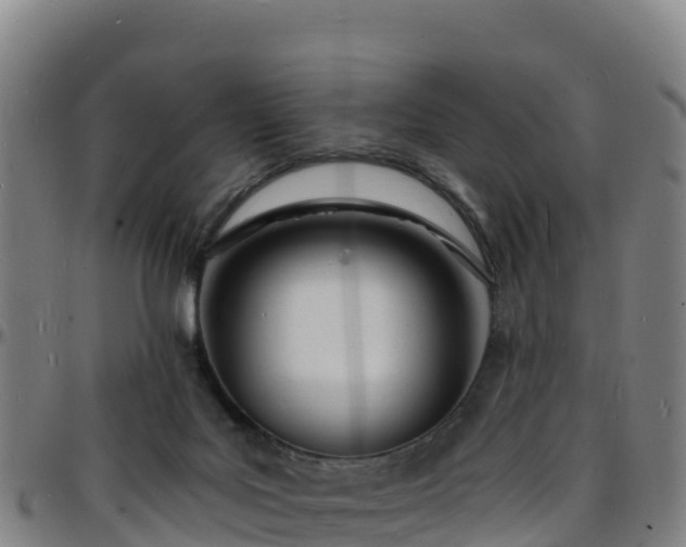 X0000096390027200801311330