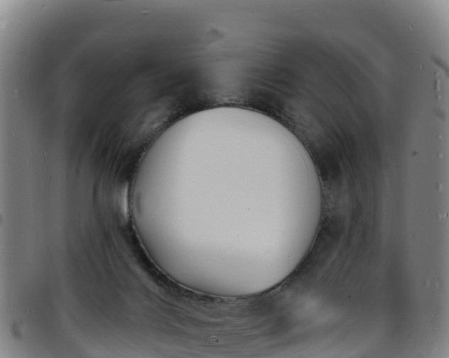 X0000096390028200801311330