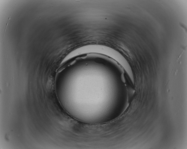 X0000096390029200801311330