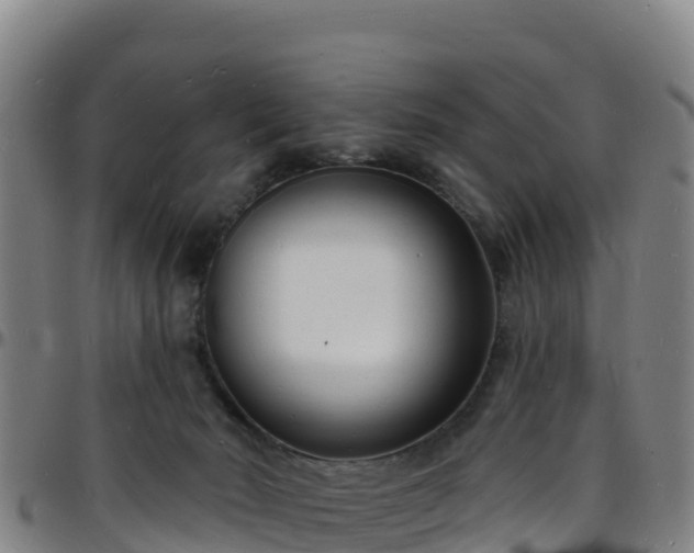 X0000096390030200801311330