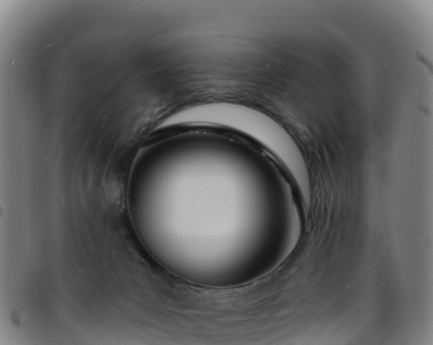 X0000096390031200801311330