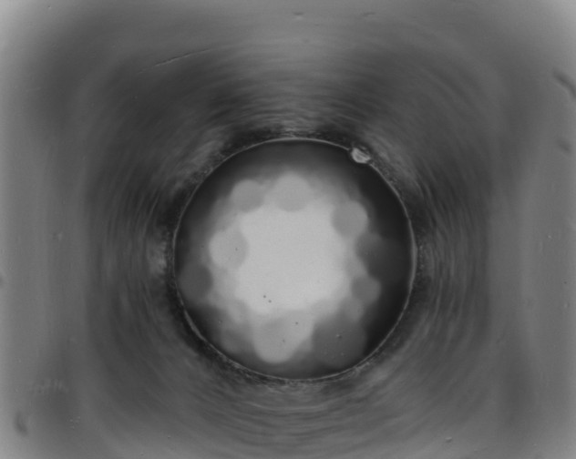 X0000096390032200801311330