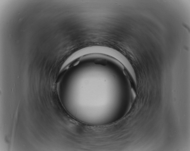 X0000096390033200801311330