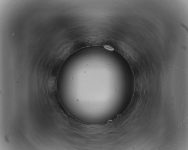 X0000096390034200801311330