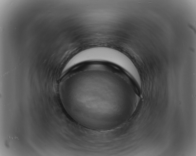 X0000096390035200801311330