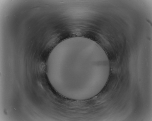 X0000096390036200801311330