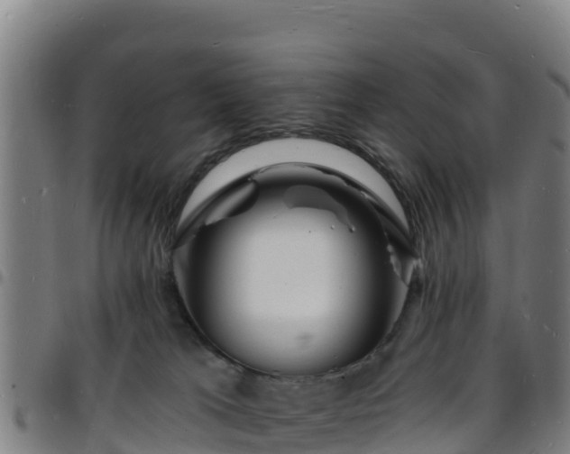 X0000096390037200801311330