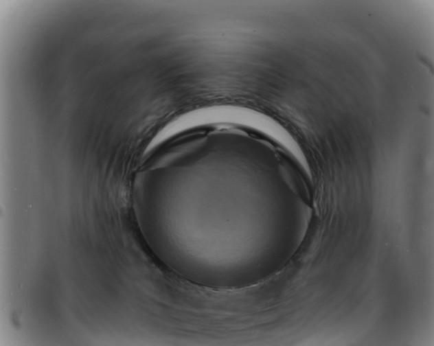 X0000096390039200801311330