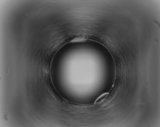X0000096390040200801311330
