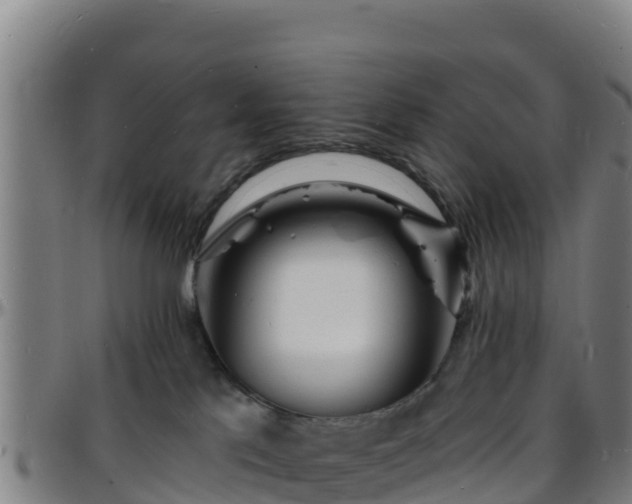 X0000096390041200801311330