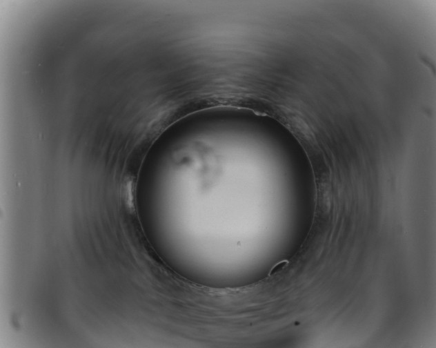 X0000096390042200801311330