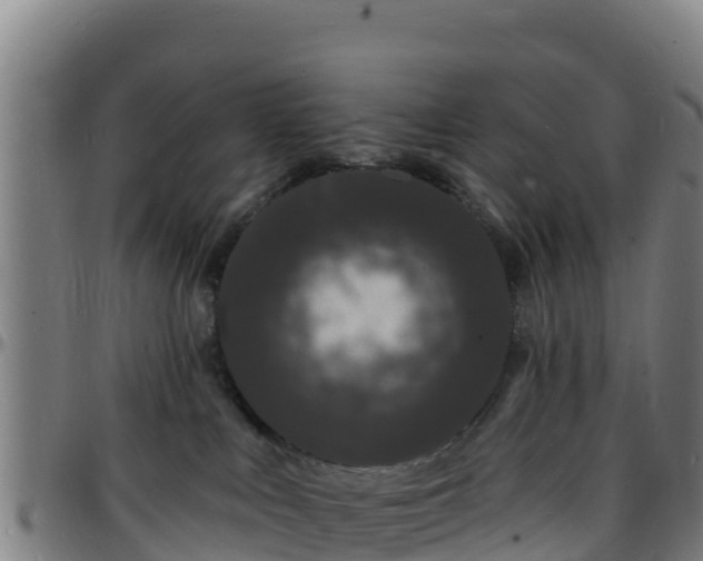 X0000096390043200801311330