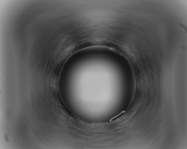 X0000096390044200801311330