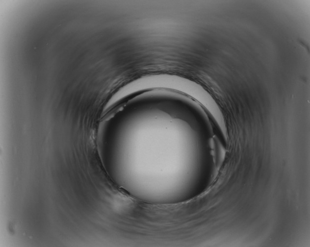 X0000096390045200801311330