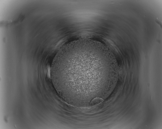 X0000096390046200801311330