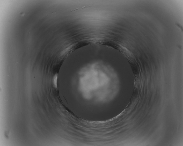 X0000096390047200801311330