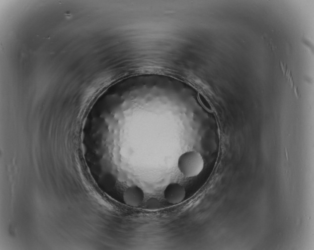 X0000096390049200801311329