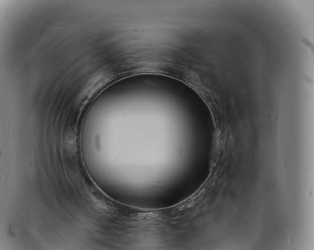 X0000096390050200801311329