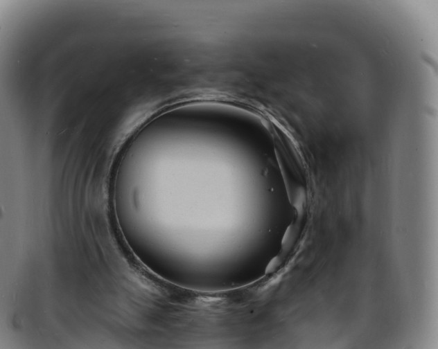 X0000096390055200801311330