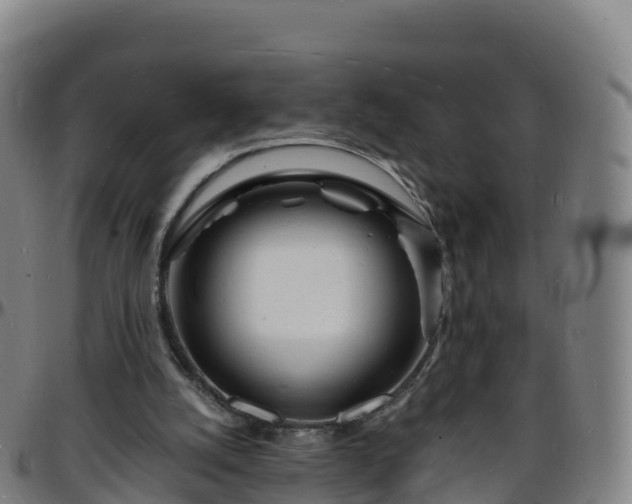 X0000096390056200801311330