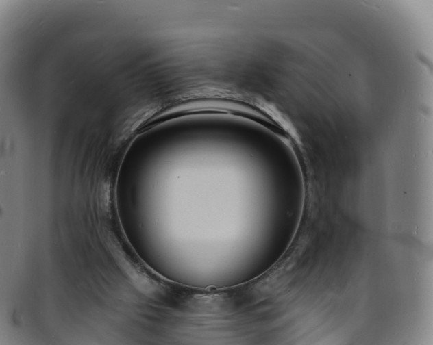 X0000096390057200801311330