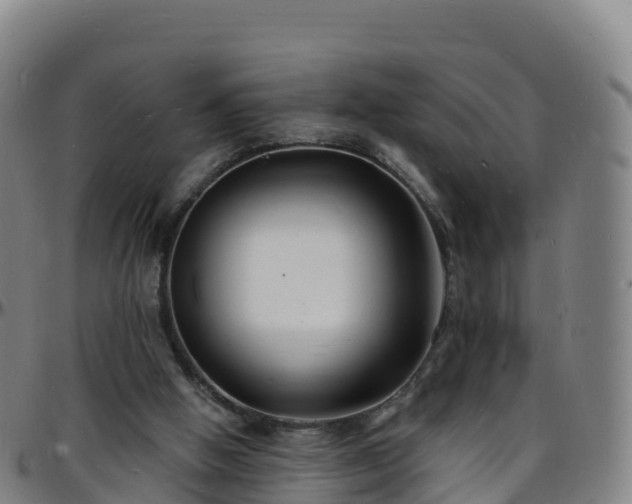 X0000096390058200801311330