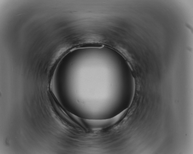 X0000096390060200801311330