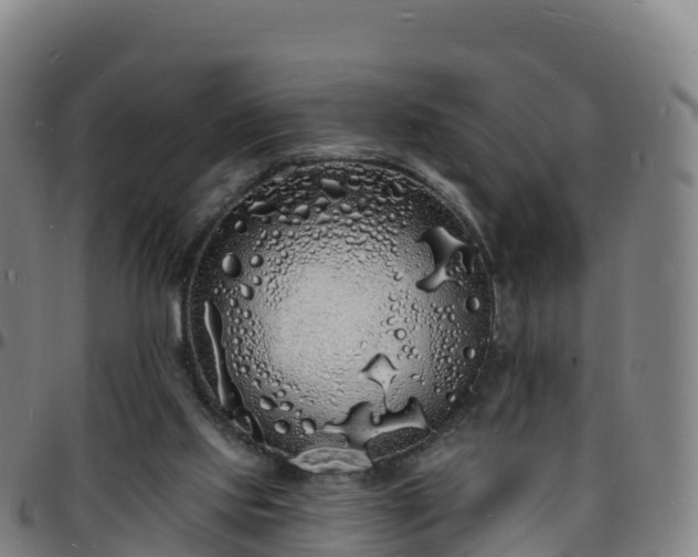 X0000096390061200801311330