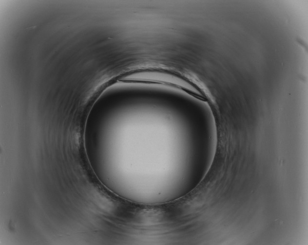 X0000096390063200801311330