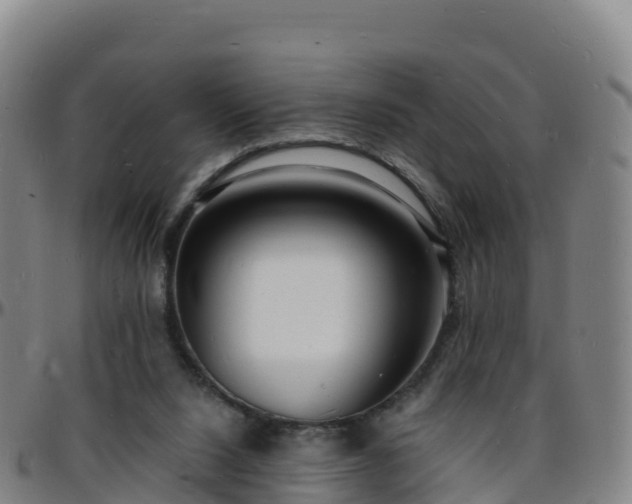 X0000096390064200801311330