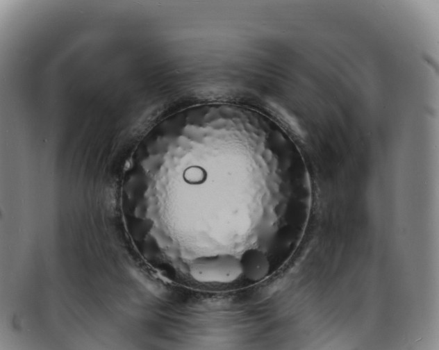 X0000096390065200801311330